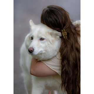 Aries_2