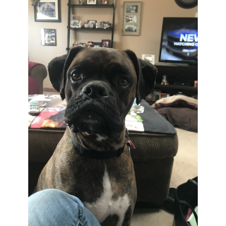 General