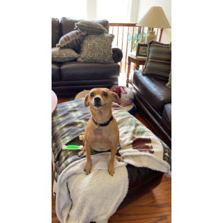 Penny_1