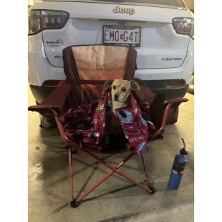 Penny_2