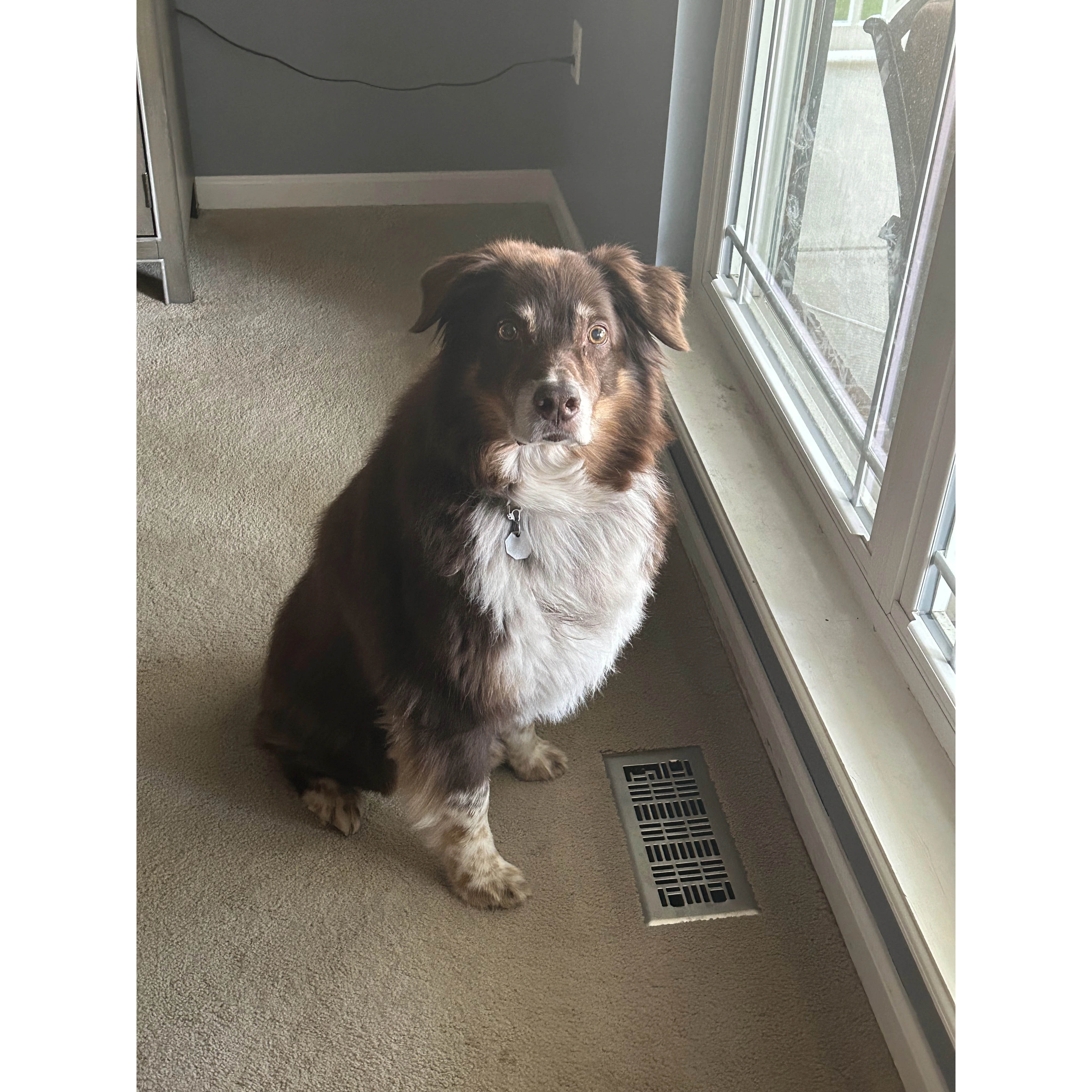 Cooper