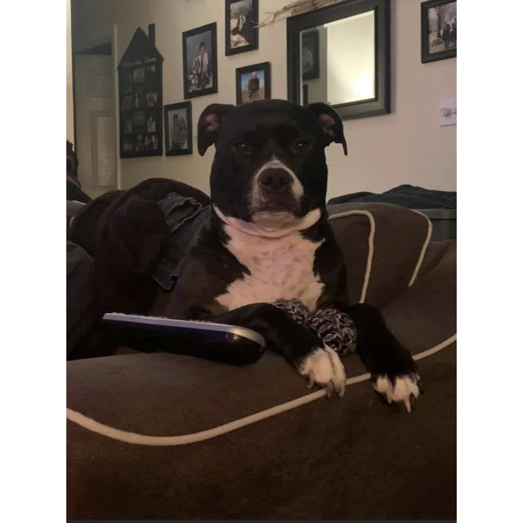 Delilah_2