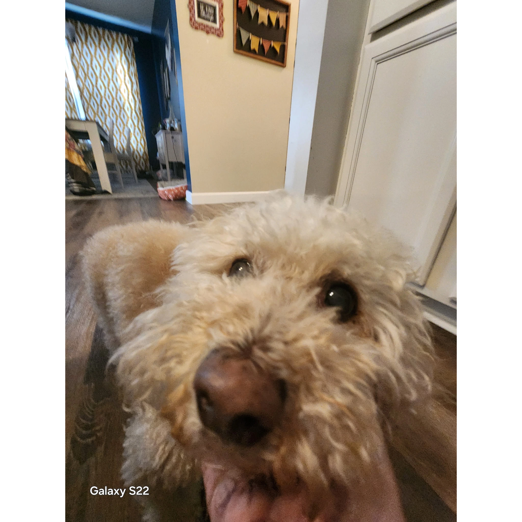 Murphy_1