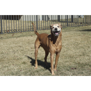 Riley