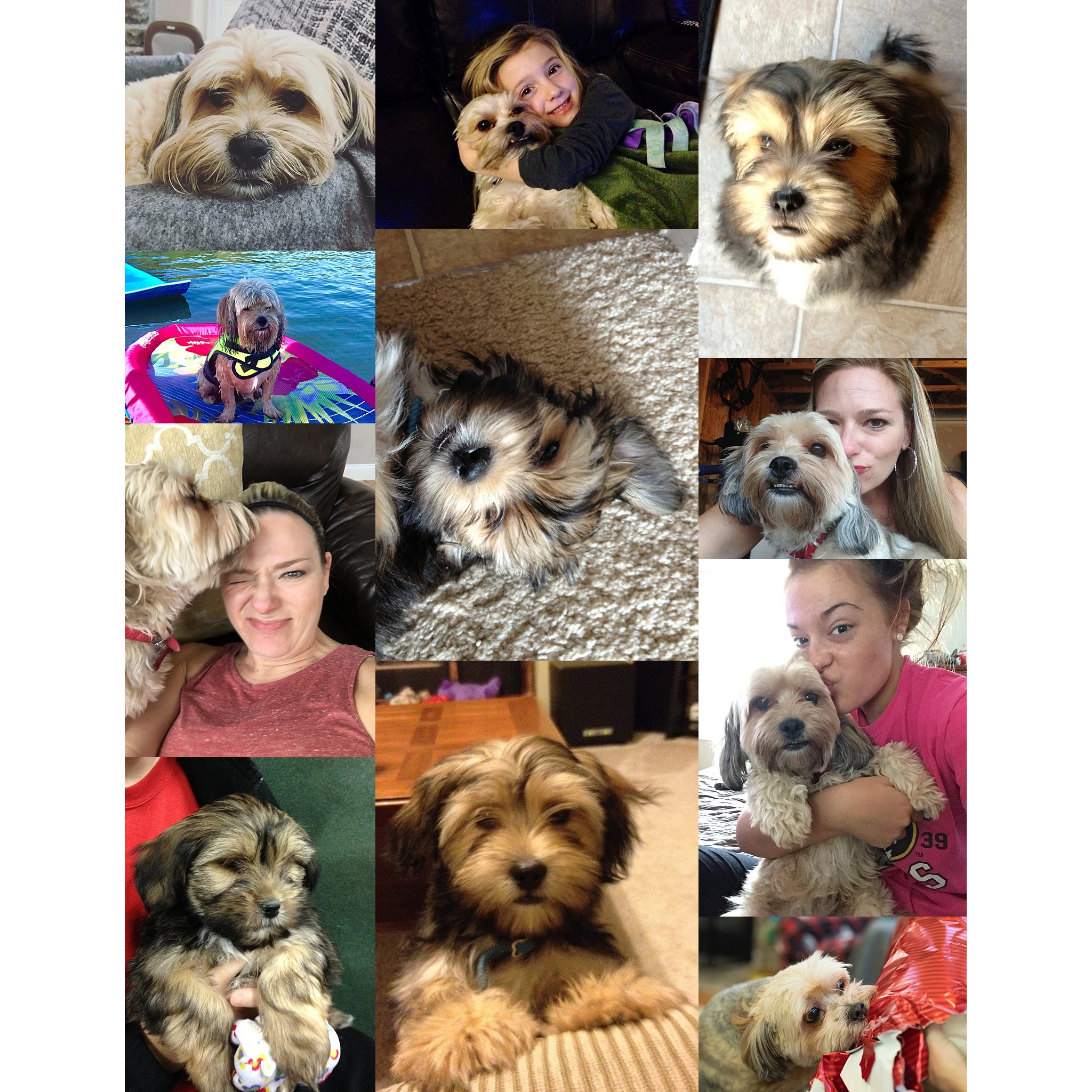 Snickers_1