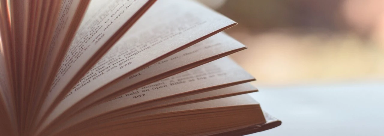 Zoomed in of a book fanned out.