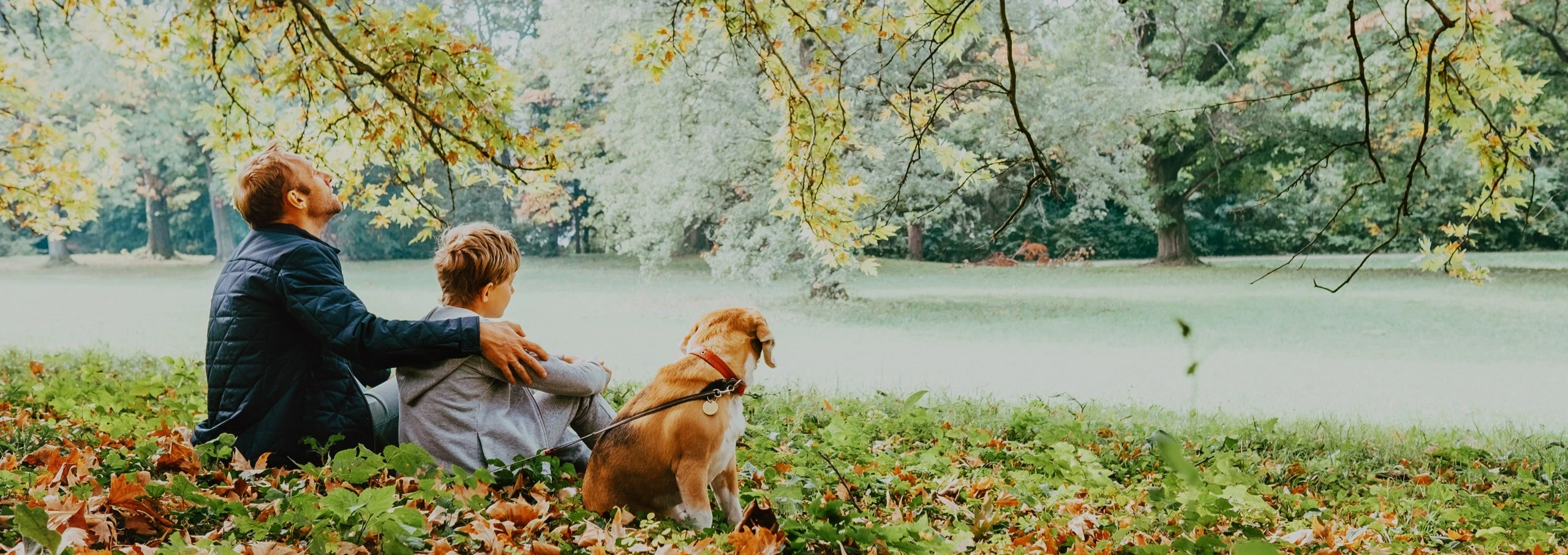 A father, his son, and their dog sitting under a tree looking away from the viewer.